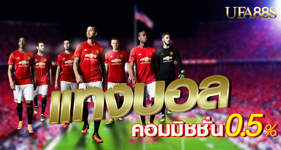 แทงบอลDATABET